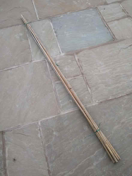 Photo of free Bamboo Canes - 6ft (Bollington SK10) #1