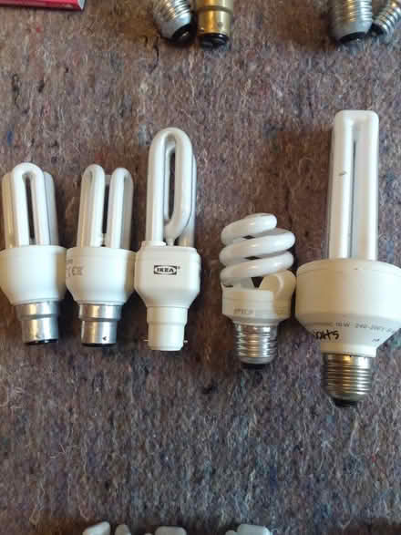 Photo of free Light bulbs (Kidlington OX5) #1