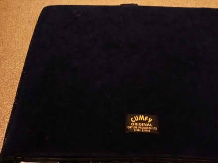 Photo of free Wedge Shaped Support Cushion (firm), with zipped cover (Hillsborough S6) #3