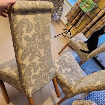 Photo of free 3 dining chairs (Emsworth) #3