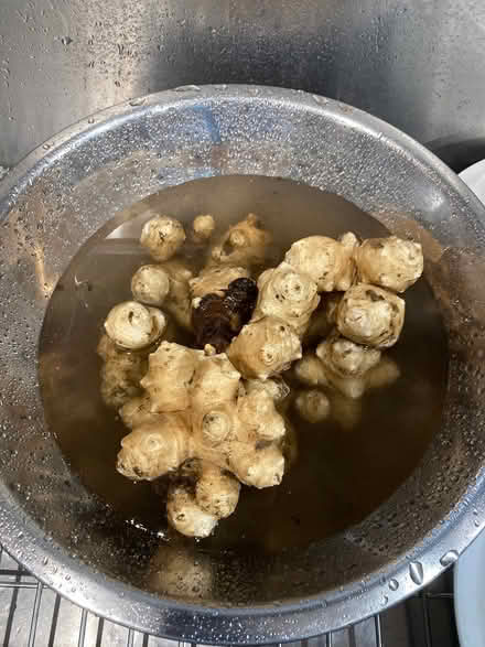 Photo of free Jerusalem artichokes (Arcadia nr Baldwin-Stocker Sch) #1