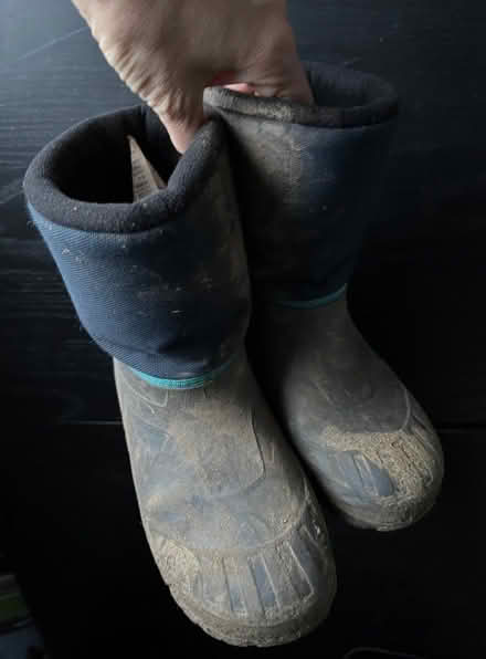 Photo of free Welly boots size 3 / 4, 36/37 (Broomhill S10) #2
