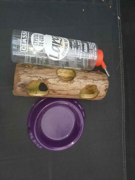 Photo of free Rabbit watering & + (Croydon) #1