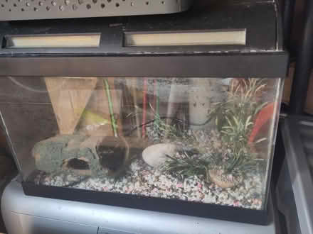 Photo of free Fish tank (Canvey Island, SS8) #1