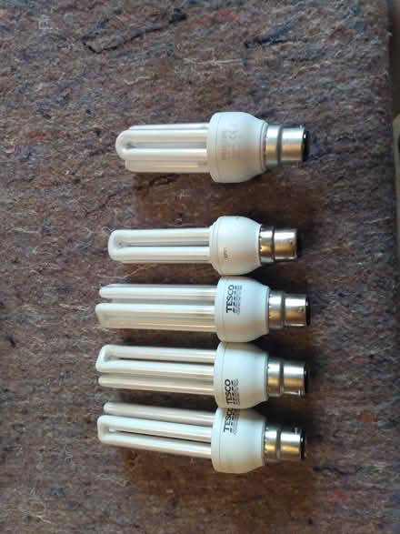 Photo of free Light bulbs (Kidlington OX5) #1