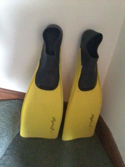 Photo of free Flippers (Spooner Row NR18) #1