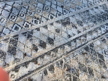 Photo of free Rug (Severna Park) #2