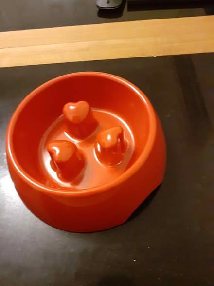 Photo of free Slow feed Dog bowl (LS18 Horsforth) #1