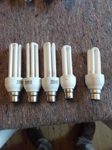 Photo of free Light bulbs (Kidlington OX5) #2