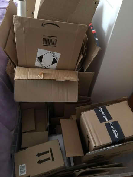 Photo of free boxes various size envelope packing (Willingdon Trees) #2