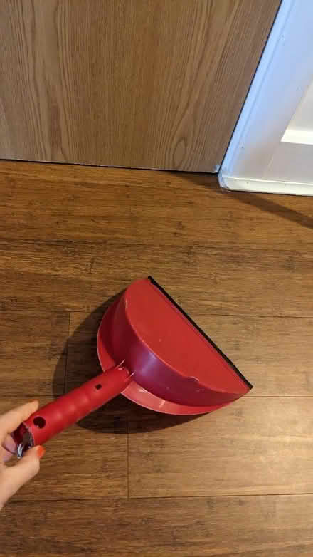 Photo of free Bucket mop and dust pan (AL1 st Albans station) #4