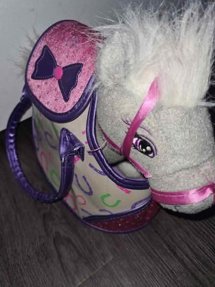 Photo of free Horse teddy in a bag (Great Ashby SG1 6) #2