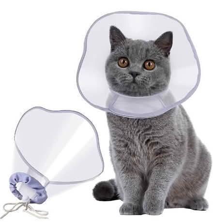 Photo of Cat cone soft/hard (Elizabethan/Veterinary/Buster) (Central Watford WD17) #2