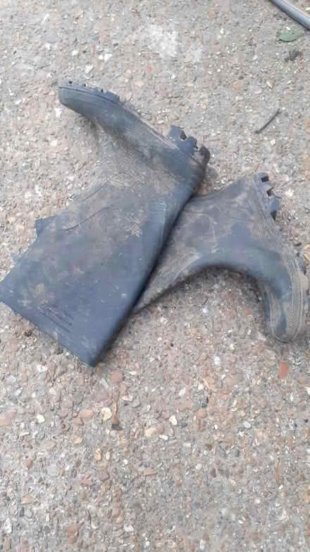 Photo of free wellies size 7/41 (Ardingly RH17) #1