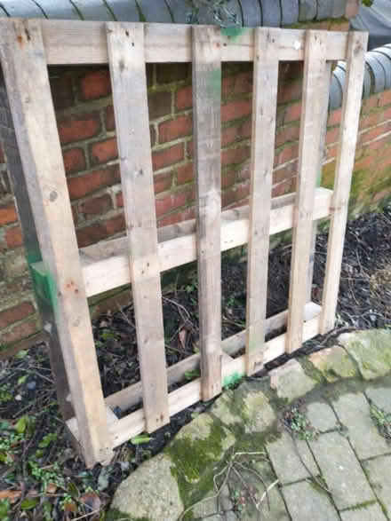 Photo of free 2 x pallets (Cherry Orchard SY2) #2