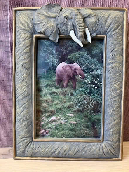 Photo of free Framed elephant photo (Beaches) #1