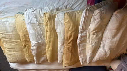 Photo of free Pillows (North Halifax) #1