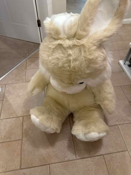 Photo of free Large stuffed bunny (Loughborough) #1