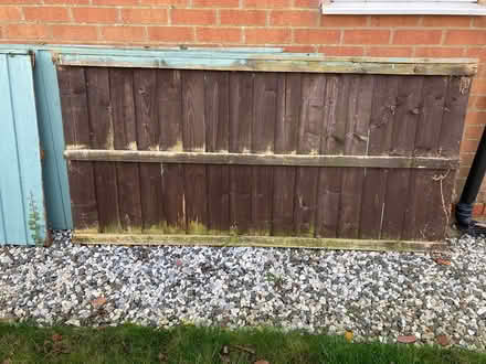 Photo of free Wooden fence panels (Nettleham LN2) #3