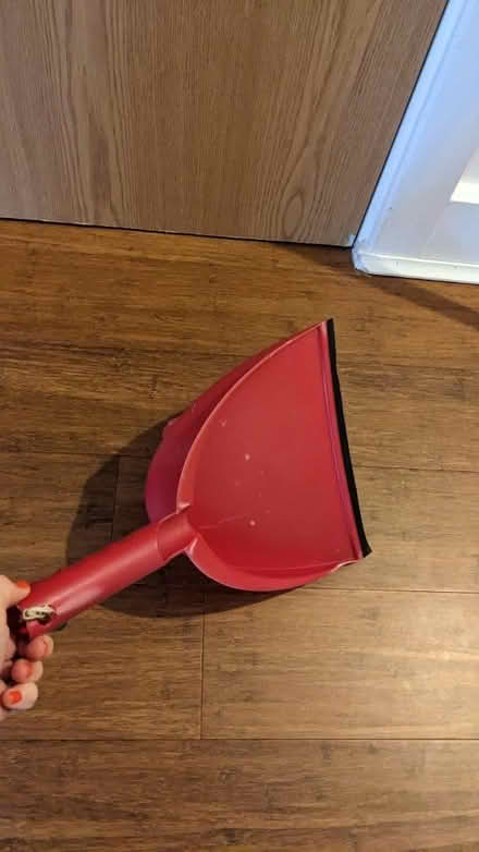 Photo of free Bucket mop and dust pan (AL1 st Albans station) #3
