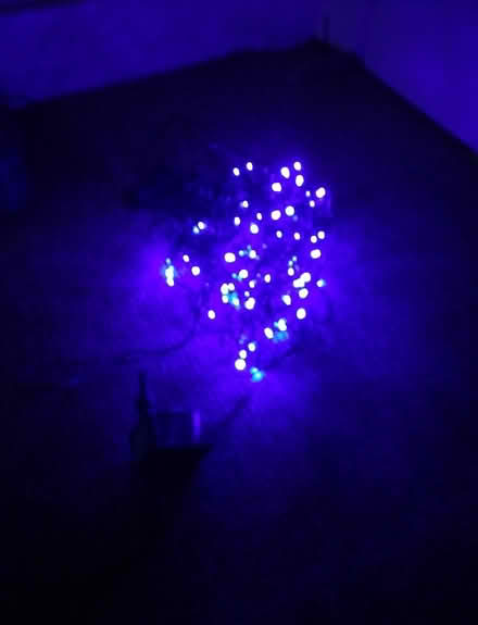 Photo of free Christmas Lights, blue (EH26 Penicuik) #1