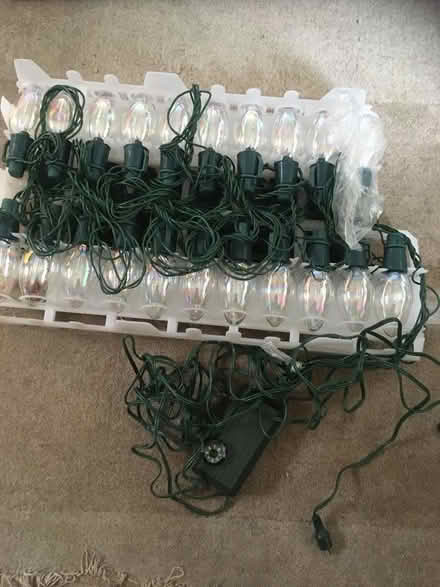 Photo of free Outdoor lights - plug missing (Blackford EH9) #1