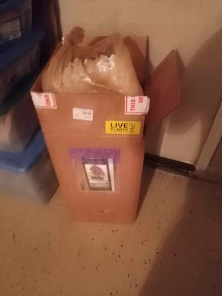 Photo of free Shipping boxes & packing material (Oakland Park) #2
