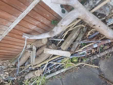 Photo of free Wood (CW2) #3