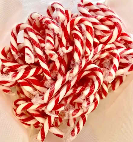 Photo of free Candy Canes (Davisville) #1
