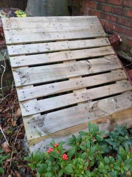 Photo of free 2 x pallets (Cherry Orchard SY2) #1