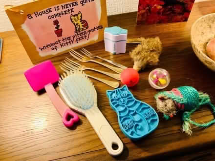 Photo of free Cat Bits n Bobs: Toys/Accessories etc. (Kendal LA9) #1