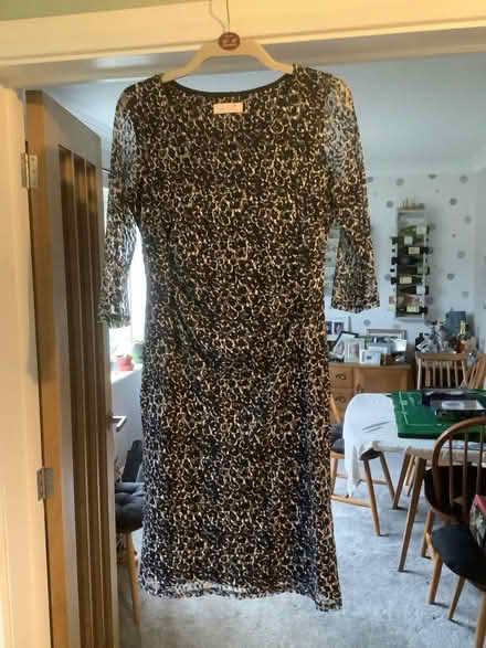 Photo of free Ladies dress (Oaks Cross SG2) #1