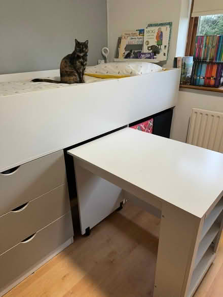 Photo of free Cabin Bed (Welwyn, AL6) #1
