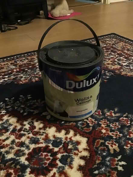 Photo of free Dulux Manolia Wall Paint (Roehampton SW15) #2