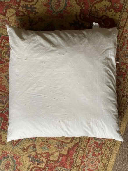 Photo of free Feather cushions 60cm x 60cm (Queen's Park BN2) #1