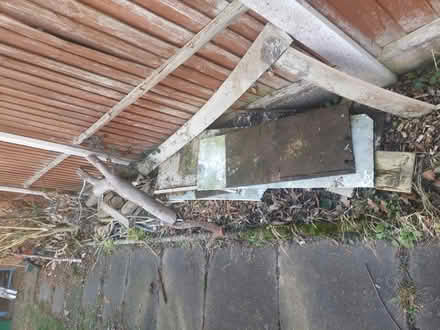 Photo of free Wood (CW2) #2