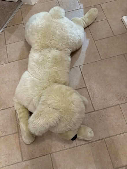 Photo of free Large stuffed dog (Loughborough) #1