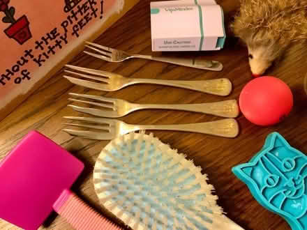 Photo of free Cat Bits n Bobs: Toys/Accessories etc. (Kendal LA9) #2