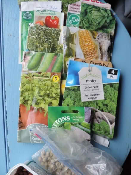 Photo of free vegetable seeds (Whittlesey PE7) #1