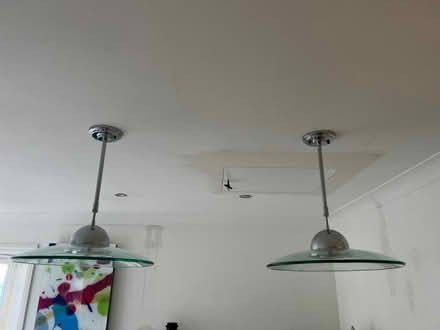 Photo of free Pendant lights (Earley RG6) #3