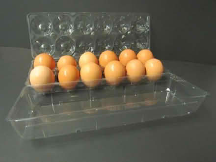 Photo of JUMBO Egg Cartons (Town n Country, Tampa) #1