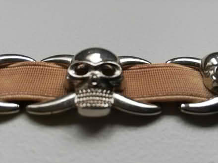 Photo of free Elasticated belt (Waterlooville PO7) #1