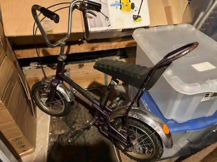 Photo of free Raleigh Budgie bicycle (The Highlands TN39) #1