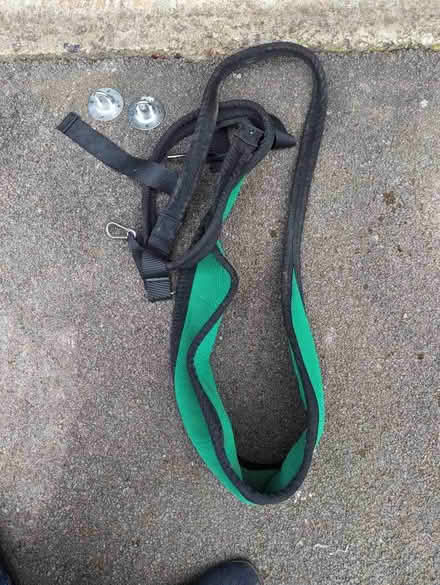Photo of free Indoor or outdoor swing (North Woodchester GL5) #1