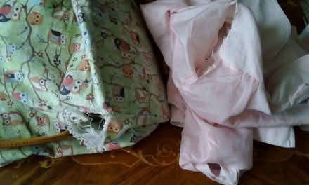 Photo of free Ladies jacket and backpack (Trefnant LL16) #2