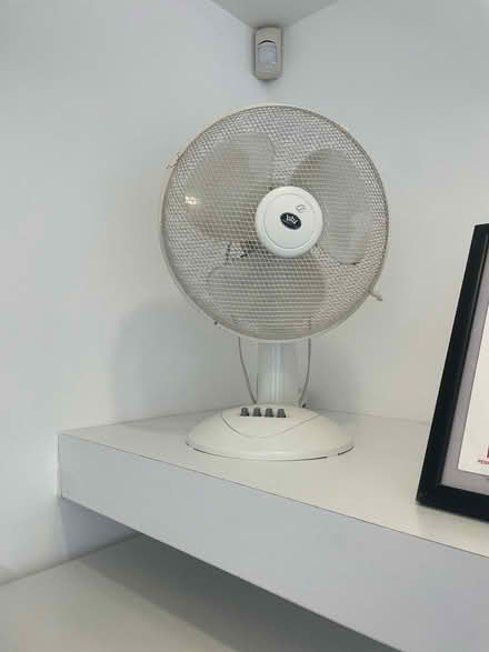 Photo of free Fan (London) #1