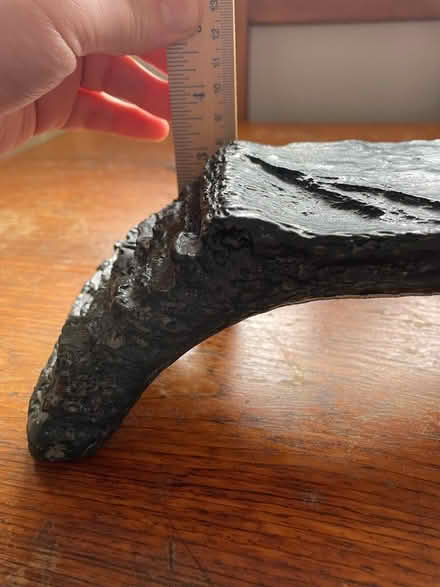 Photo of free Reptile basking rock (Odenton Kings Heights) #4