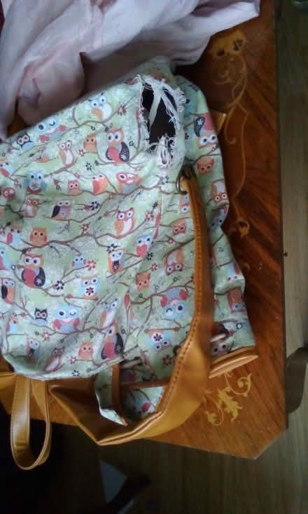 Photo of free Ladies jacket and backpack (Trefnant LL16) #1