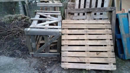 Photo of free Box Pallets x1 Flat Pallets x 6 suit wood store/compost (Denmead PO7) #1