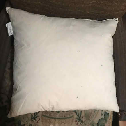 Photo of free 3 x 15" cushions (Luddenden Foot HX2) #1
